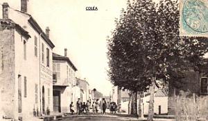 Colea - rue d'Oran